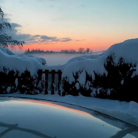 Au Chalet Bain Nordique Neuf Independant Calme Assure Haselbourg エクステリア 写真