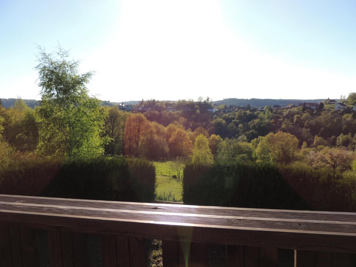 Au Chalet Bain Nordique Neuf Independant Calme Assure Haselbourg エクステリア 写真