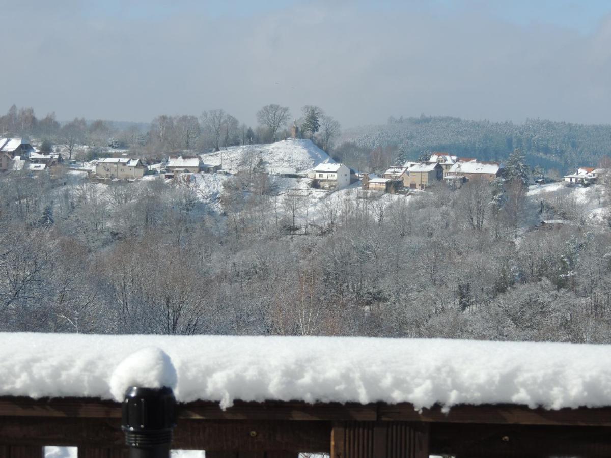 Au Chalet Bain Nordique Neuf Independant Calme Assure Haselbourg エクステリア 写真