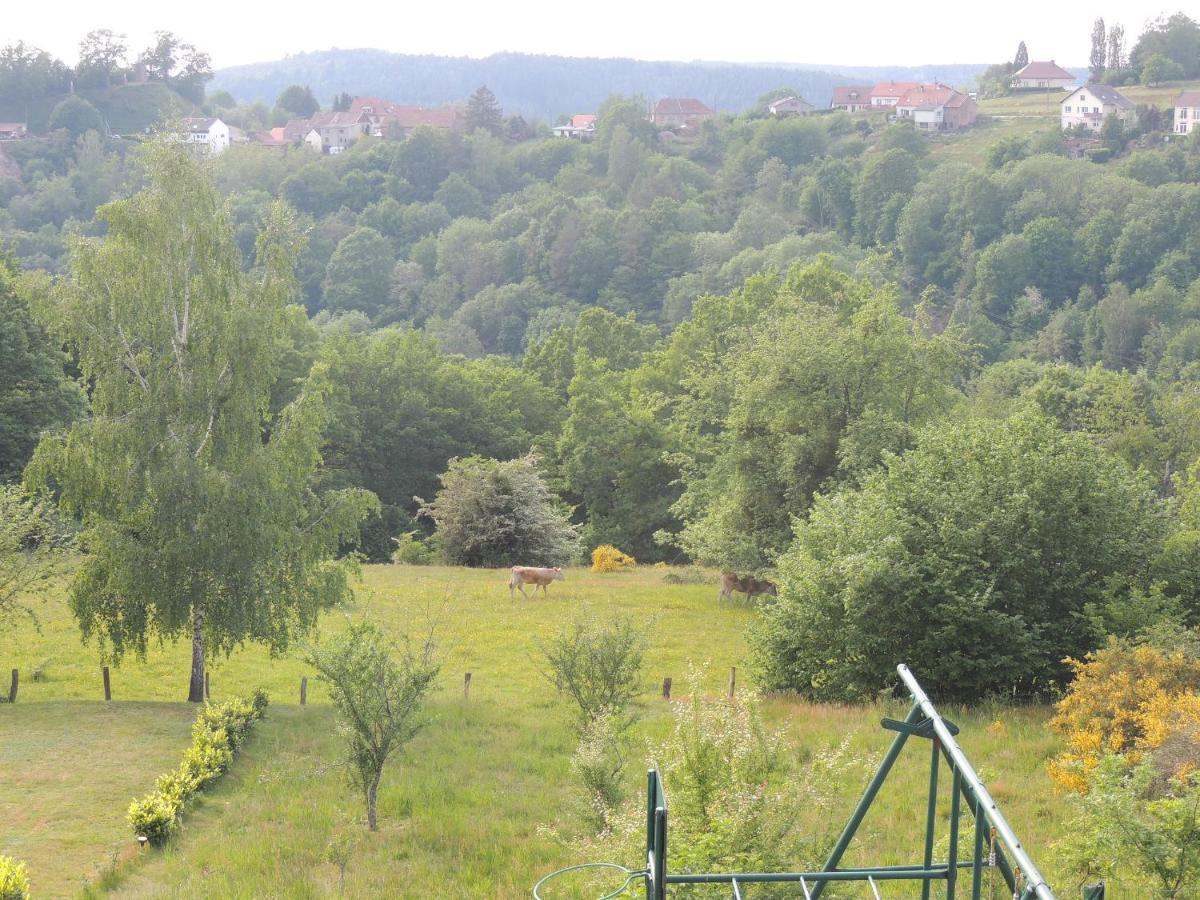 Au Chalet Bain Nordique Neuf Independant Calme Assure Haselbourg エクステリア 写真