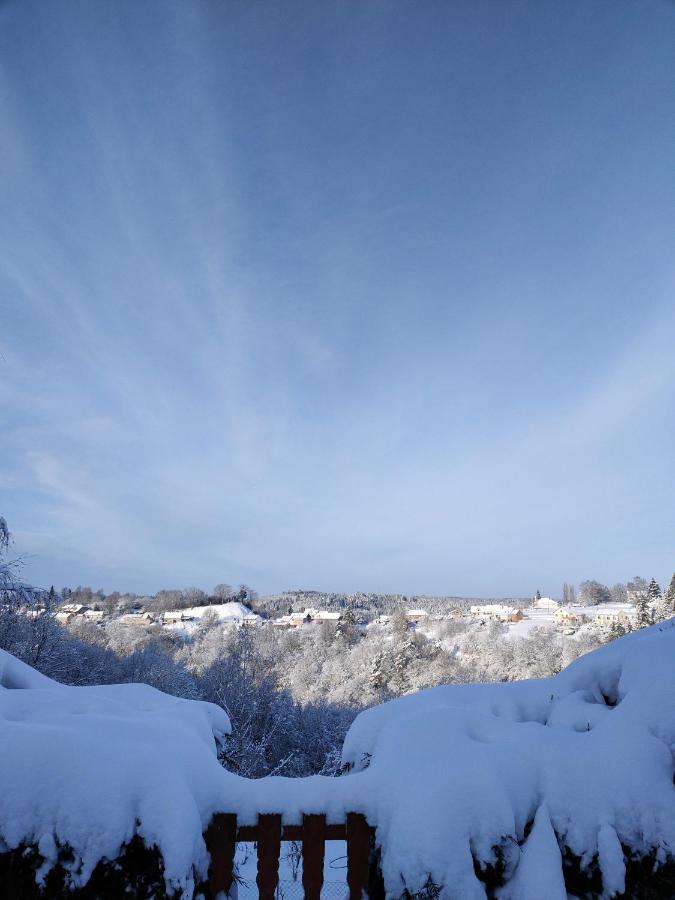 Au Chalet Bain Nordique Neuf Independant Calme Assure Haselbourg エクステリア 写真