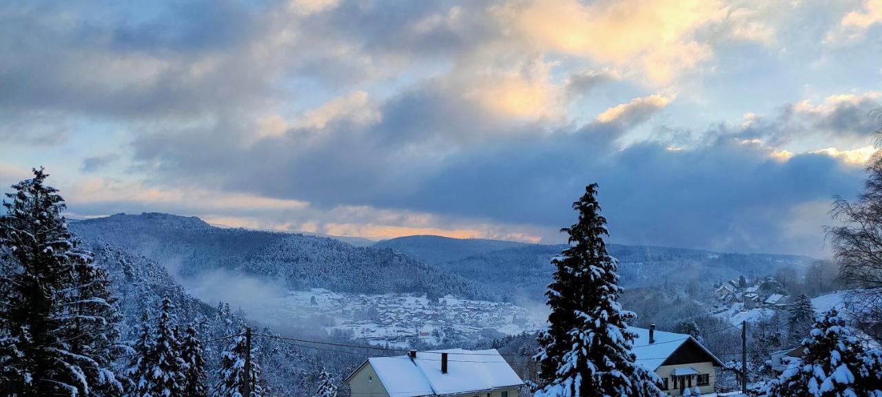Au Chalet Bain Nordique Neuf Independant Calme Assure Haselbourg エクステリア 写真